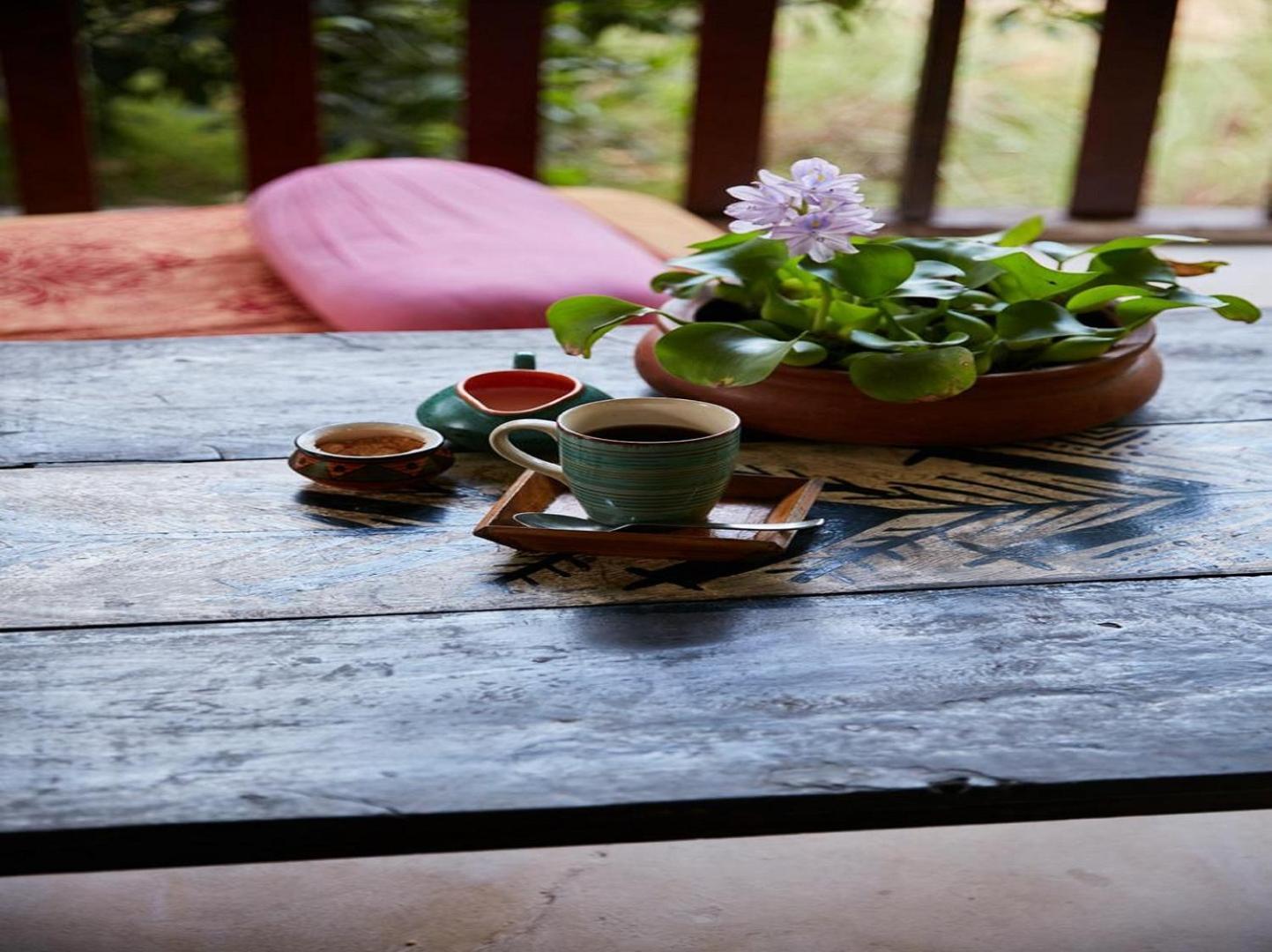Jamboree Creek Yoga Mandrem Εξωτερικό φωτογραφία